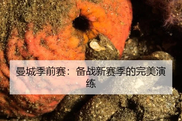 曼城季前赛：备战新赛季的完美演练